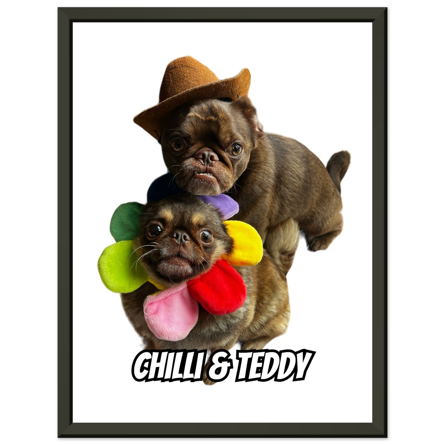 Chilli & Teddy Classic Matte Paper Metal Framed Poster