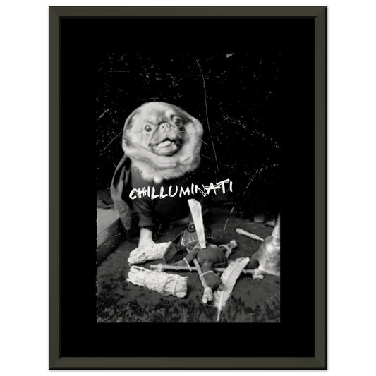 CHILLUMINATI Museum-Quality Matte Paper Metal Framed Poster