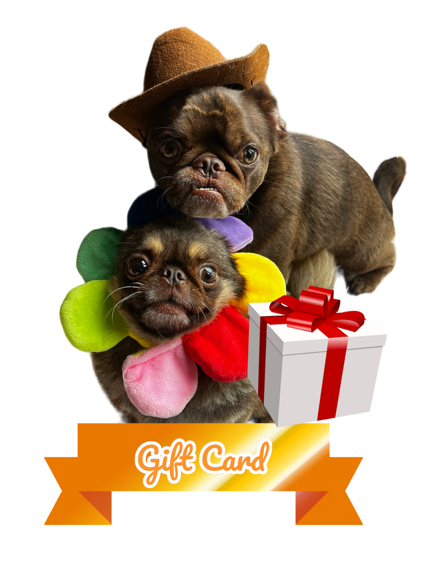 KingChilliThePug Gift Card