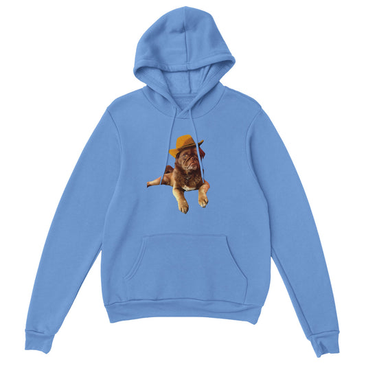 Teddy Unisex Pullover Hoodie